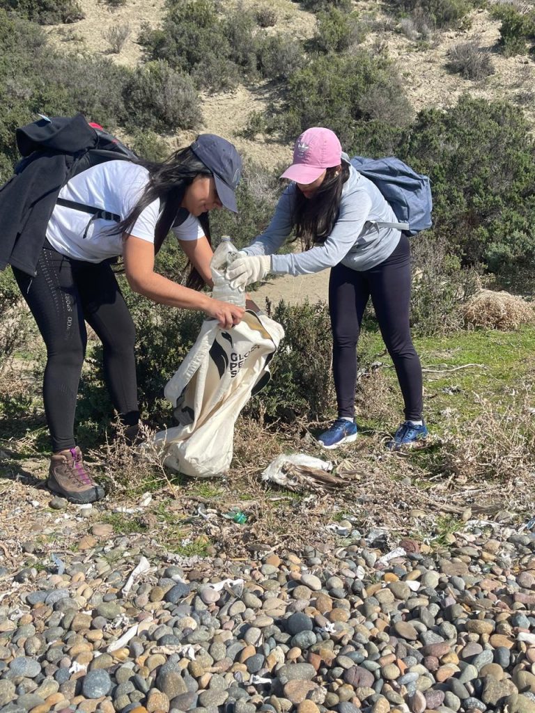 UDC y  Global Penguin Society