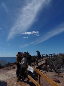 Estudiantes de la LAAN en Punta Tombo