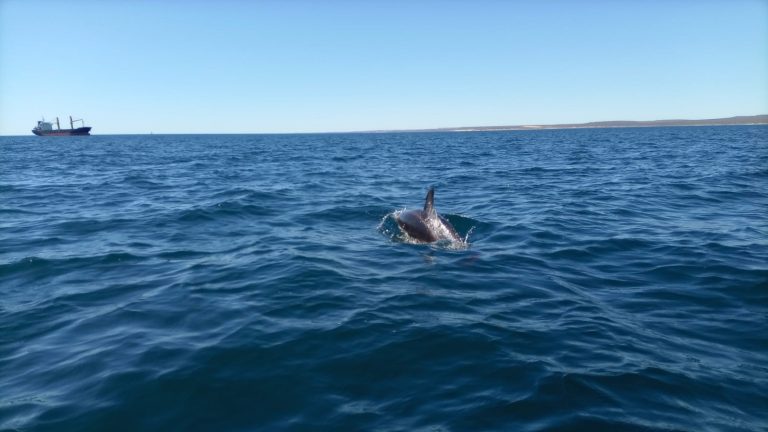 Prácticas en la Naturaleza: Estudiantes de LAAN en acción